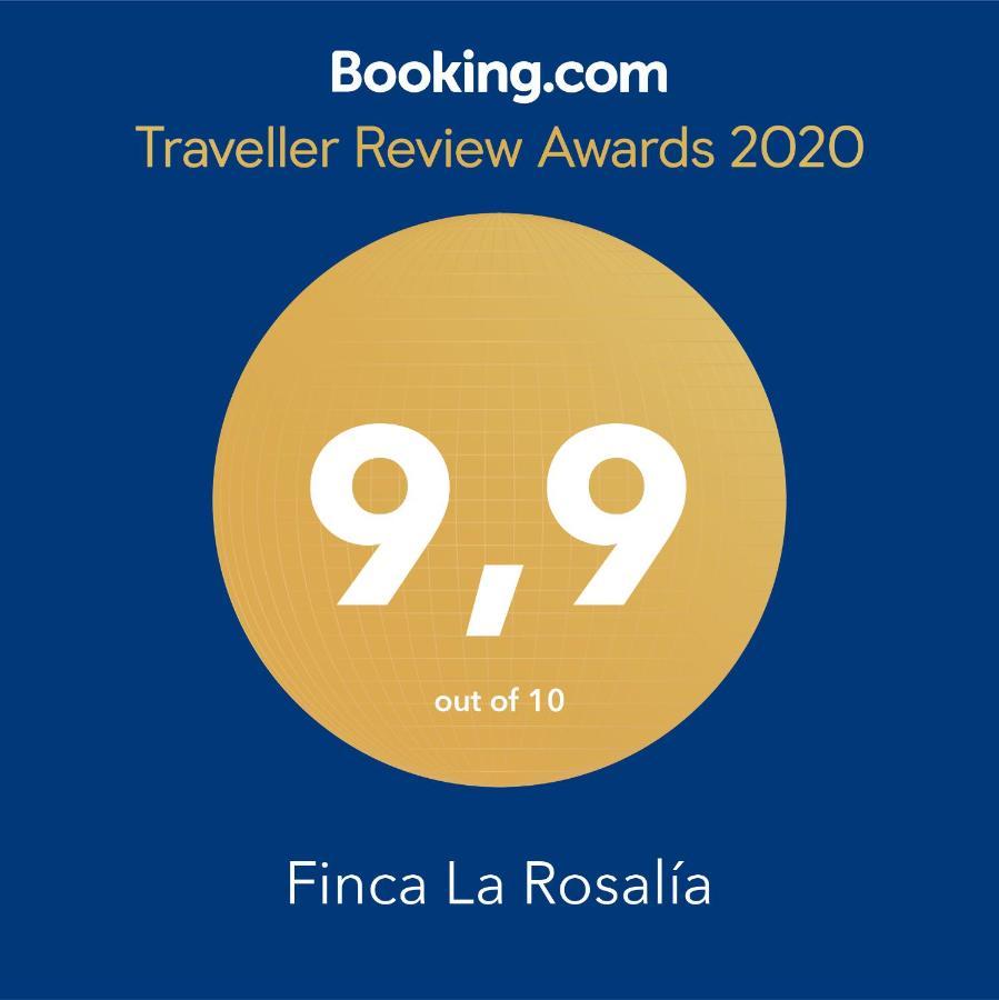 Setenil De Las Bodegas Finca La Rosalia מראה חיצוני תמונה