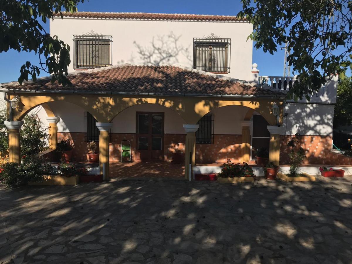 Setenil De Las Bodegas Finca La Rosalia מראה חיצוני תמונה